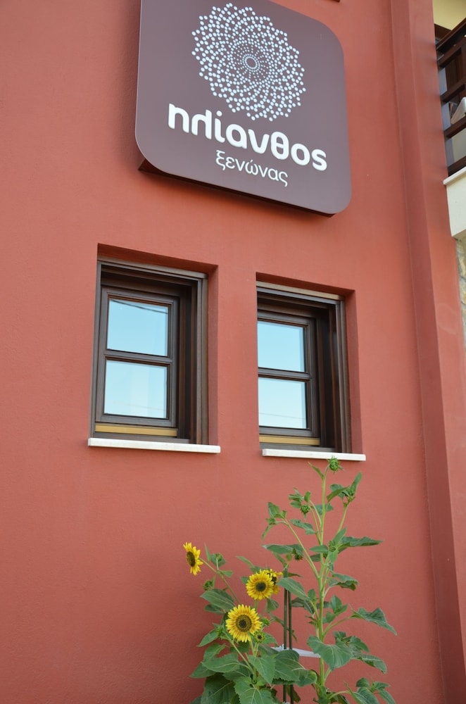 Helianthus Guesthouse