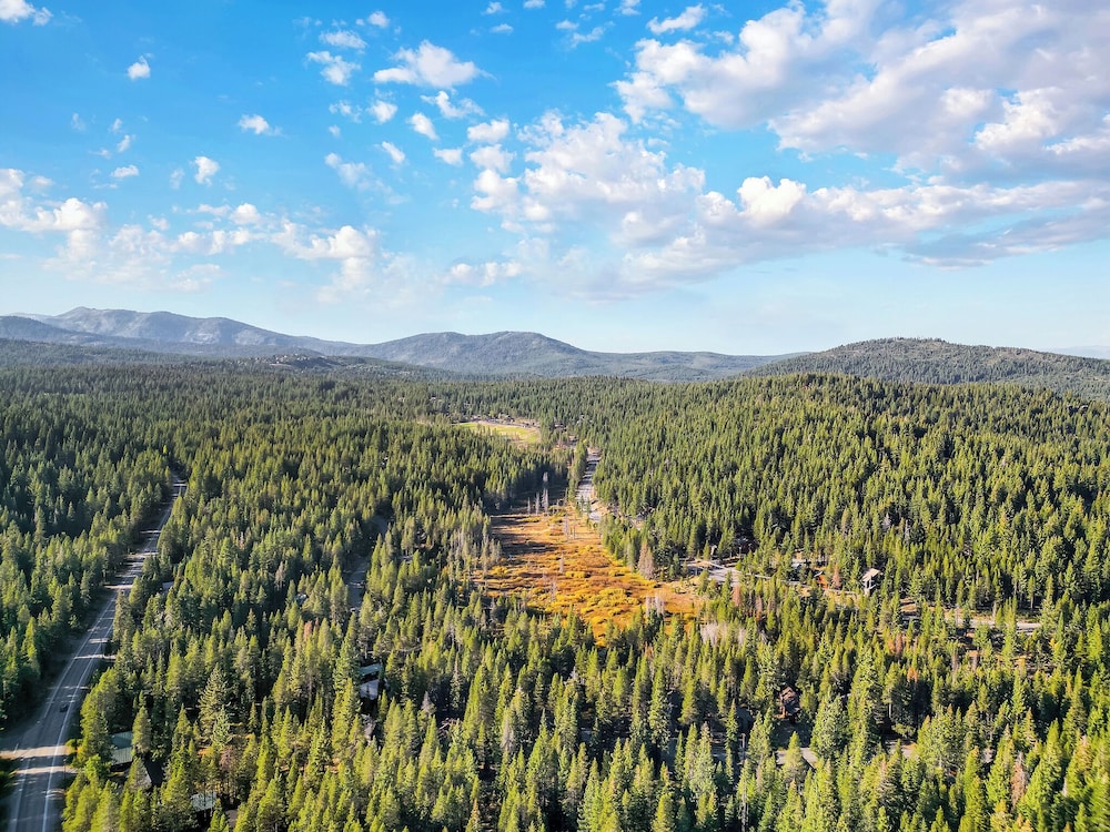 A Frame Hideaway | Floor to Ceiling Windows in the Pines
