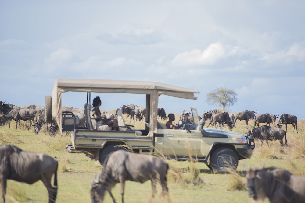 Mara Ngenche Safari Camp