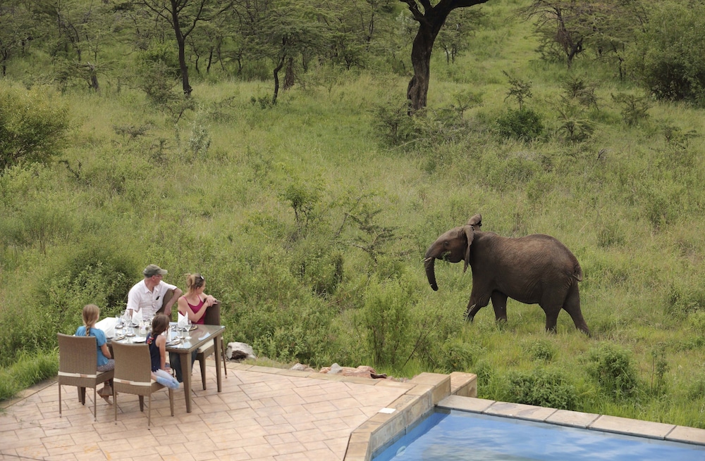 Spirit Of The Masai Mara