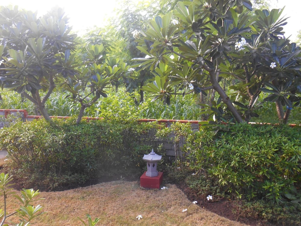 The Local Menjangan