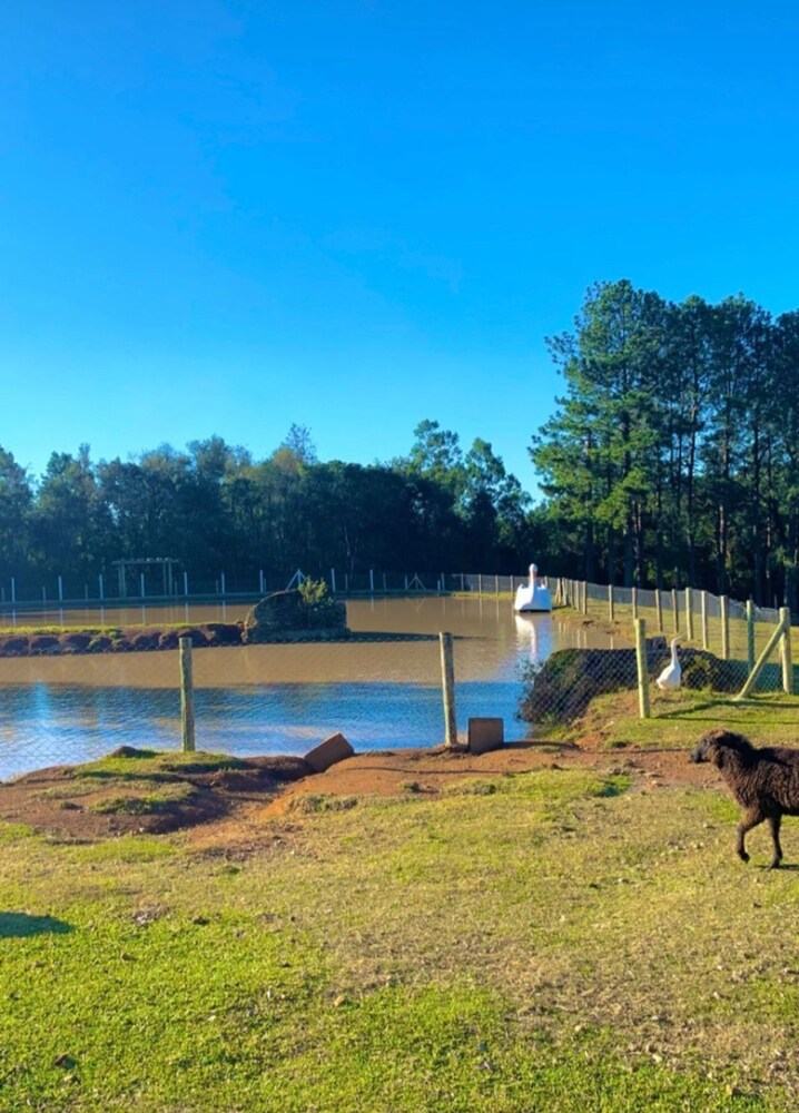 Cabanas Arena SG