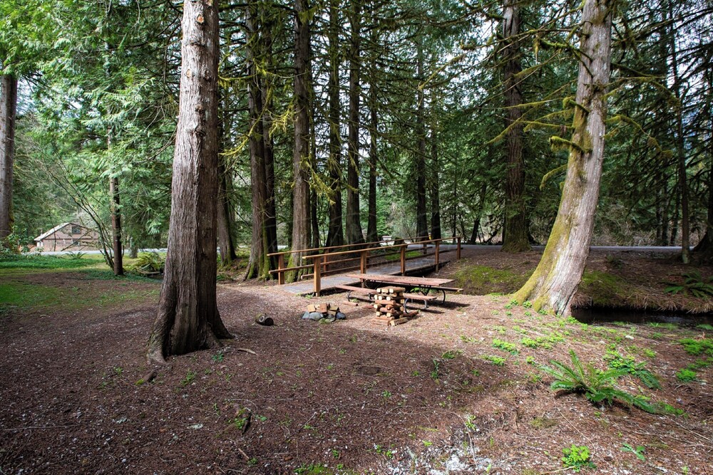 36sll Pet Friendly - Economical, Kitchen - Sleep 5
