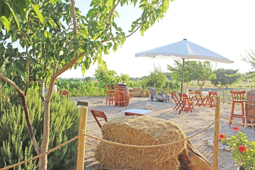 Karina Vineyard Evi - Image 33