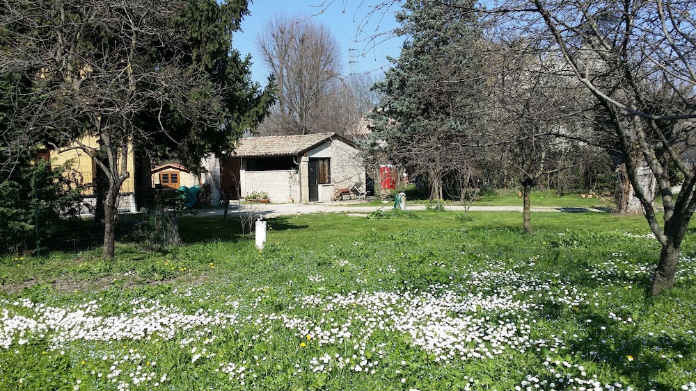 Photo 25