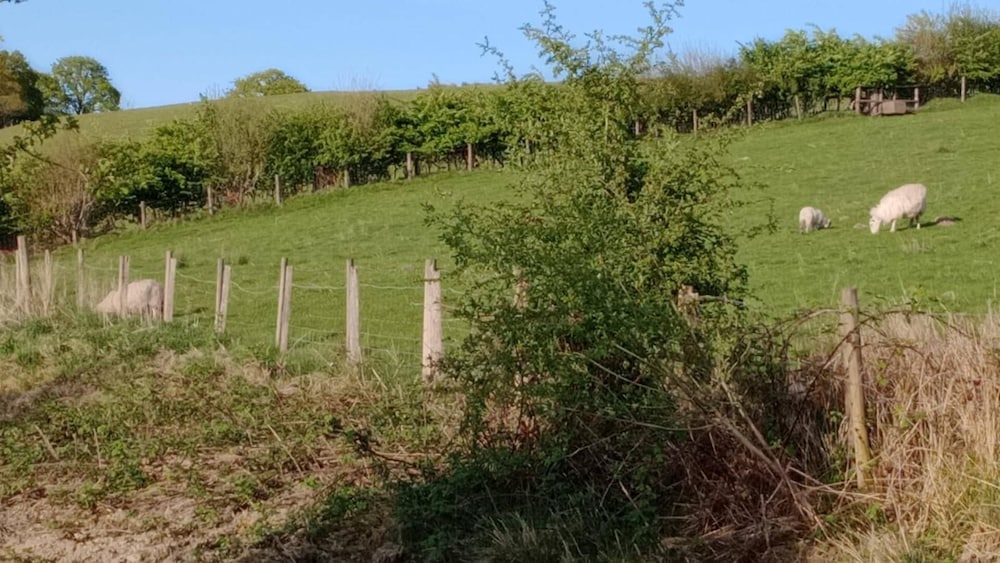Llandovery - Cabin - Sleeps 2 - Parking - Garden