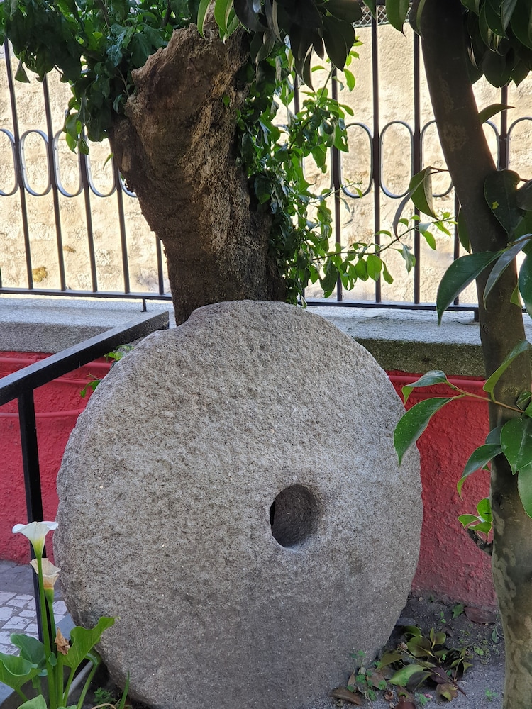 Photo 45
