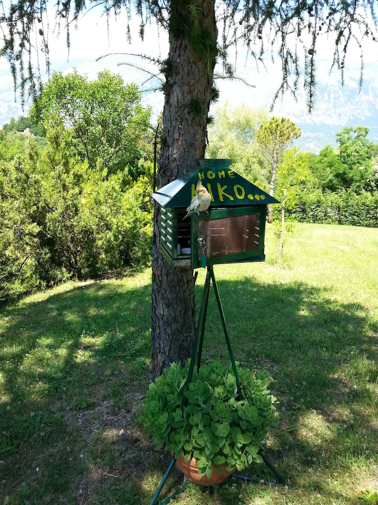 Photo 35