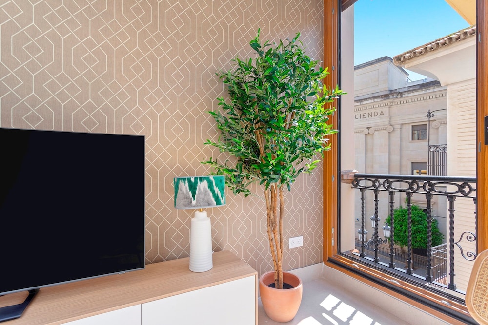Exclusive Apartment in the Heart of Seville Tom s de Ibarra III
