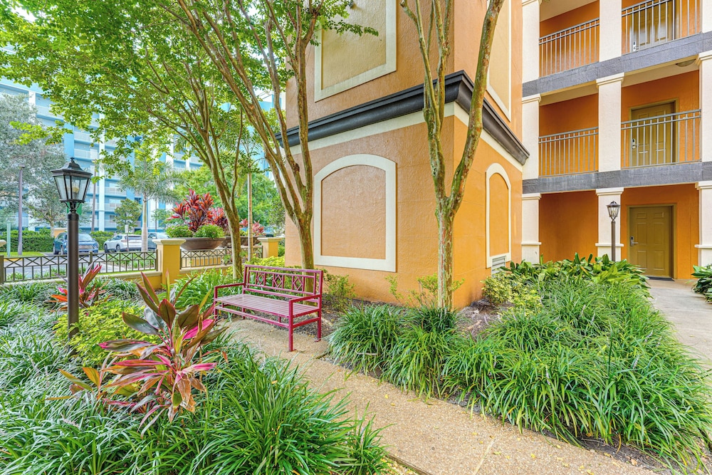 Poolside Bliss & Theme Park Thrills: Orlando Oasis