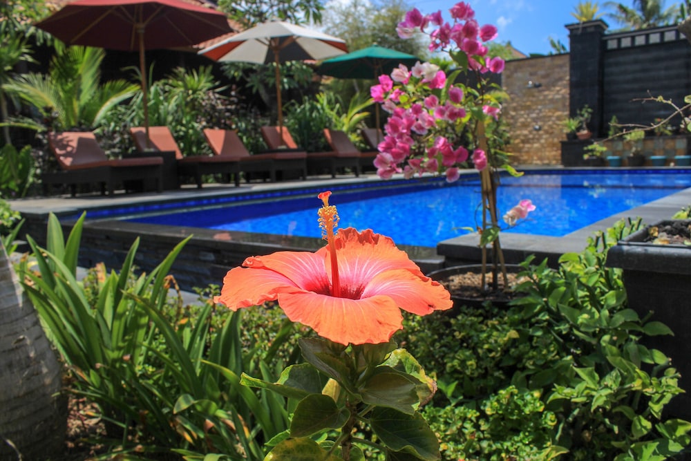Pattri Garden Lembongan