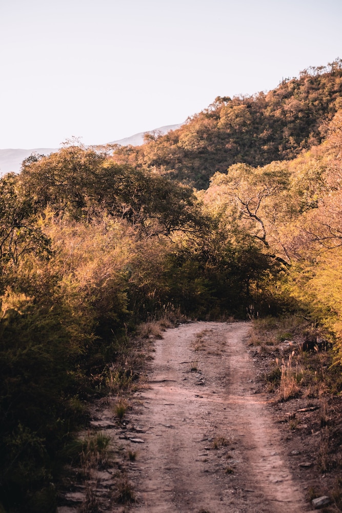 La Ceiba
