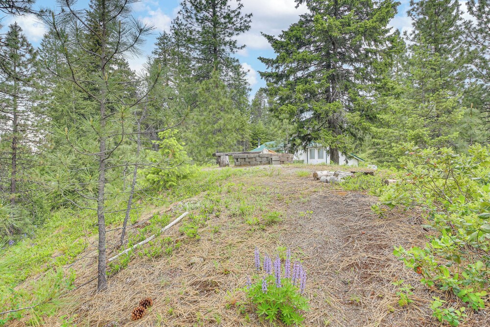 Rustic & Modern Home w/ Forest Views in Newport!