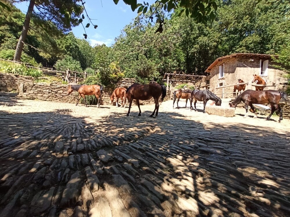 Centro Trekking A Cavallo Monte Brugiana, photo 17