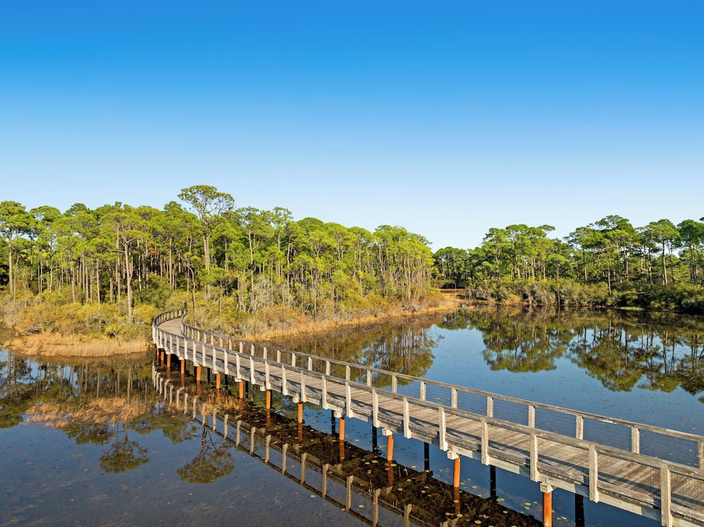 Sea Dlight: 3BR Beach Home Sleeps 10 With 4 Bikes in Watersound West