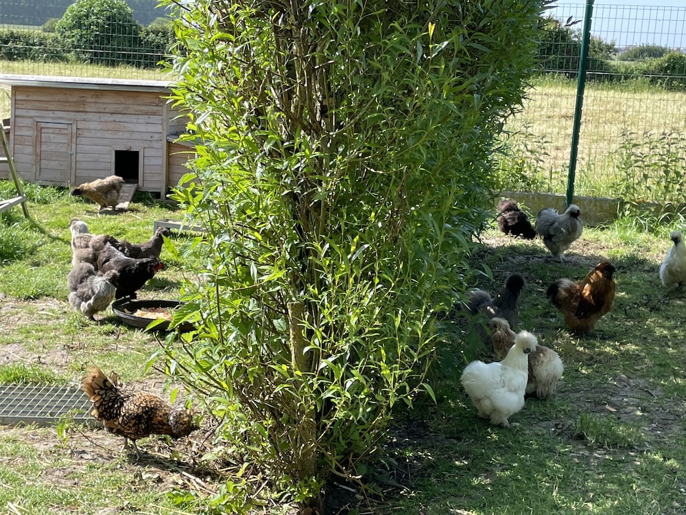 La Ferme du Paradis