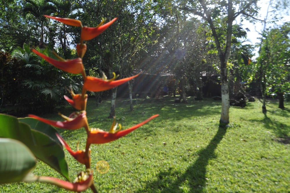 Finca don Litos