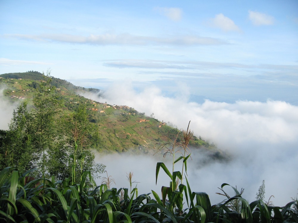 MamboViewPoint Eco Lodge