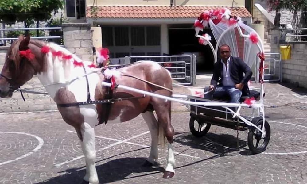 tartufo hotel
