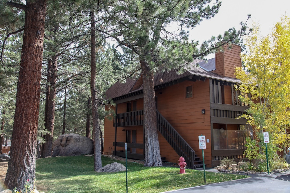 La Residence V S02 Remodeled and Cozy, Great Complex Amenities, Quiet Forest Setting by RedAwning