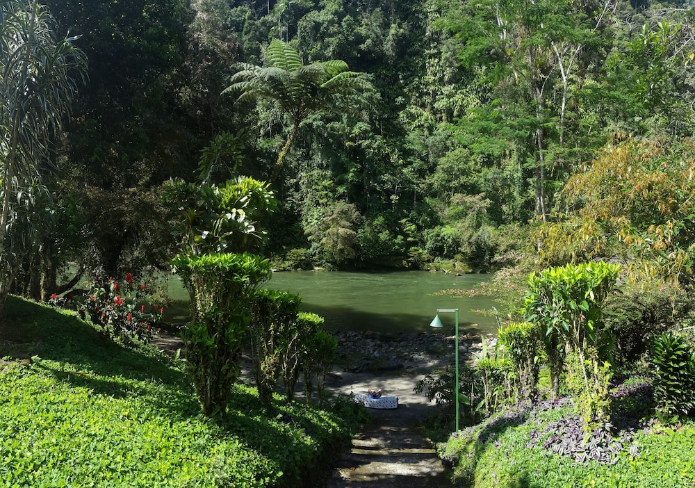 Playa Selva Lodge