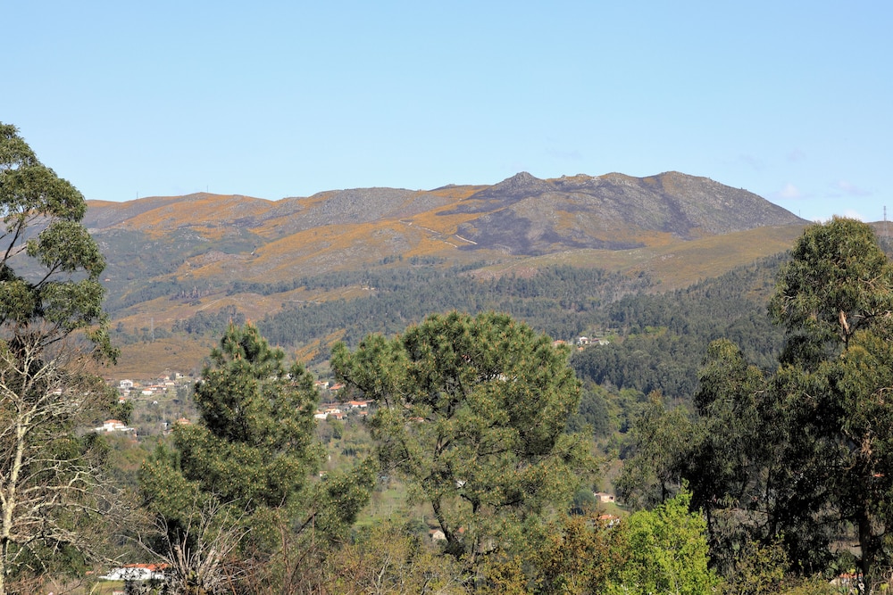 Photo 45