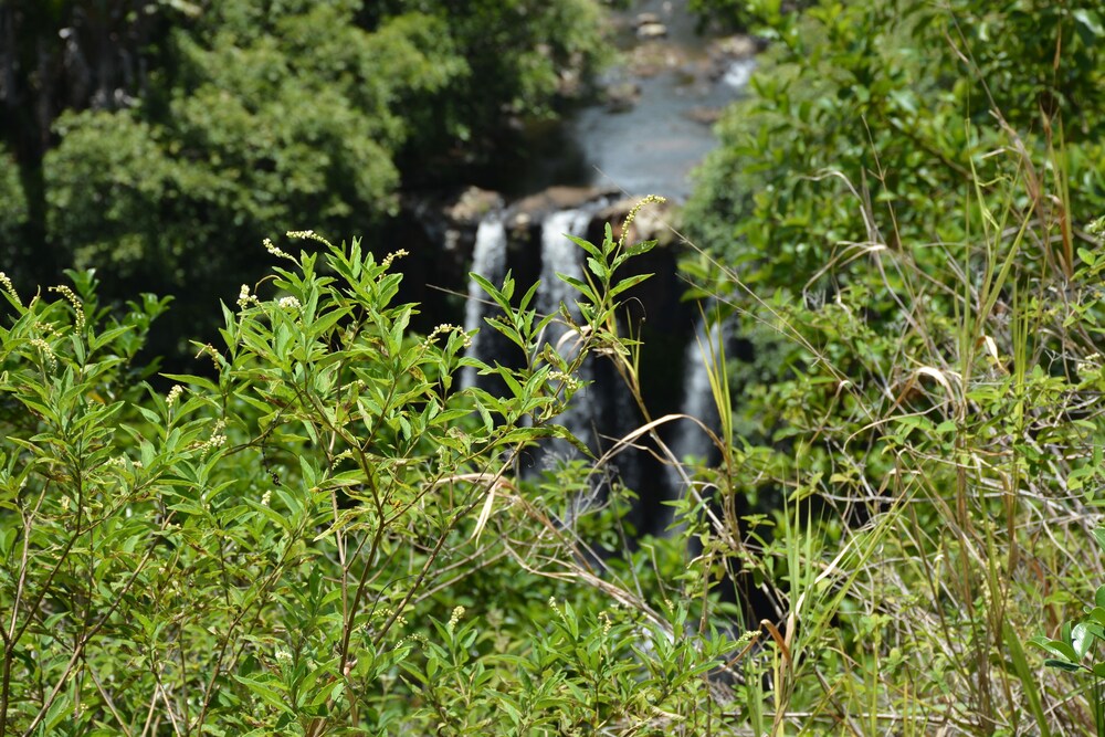 L'Exil Lodges