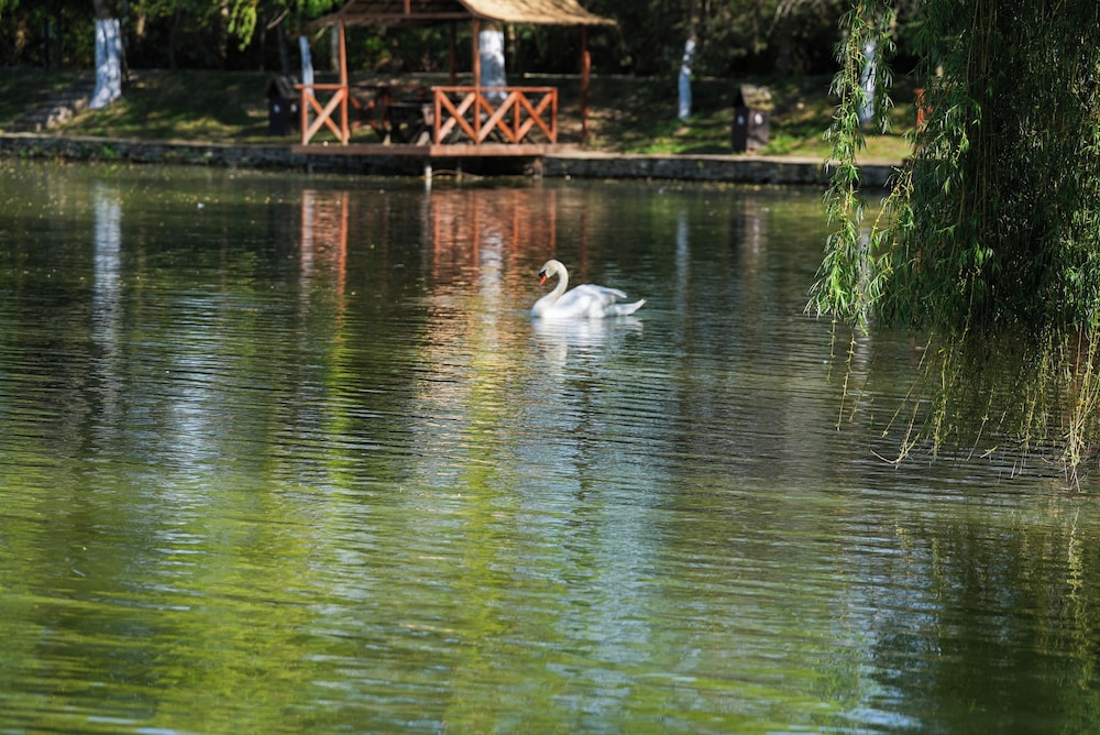 Windmills Resort
