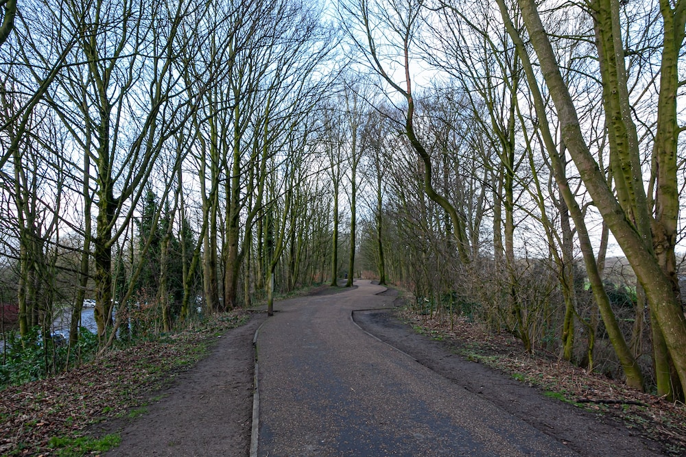 Photo 23