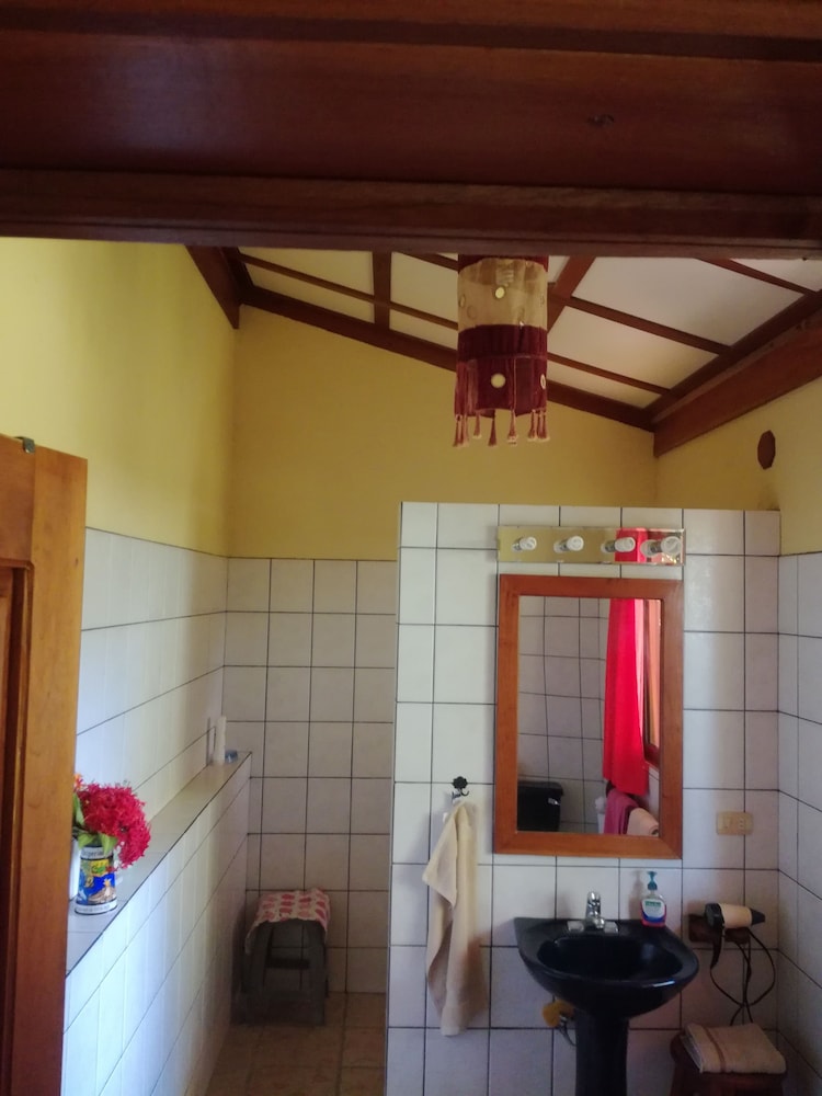 Photo 24