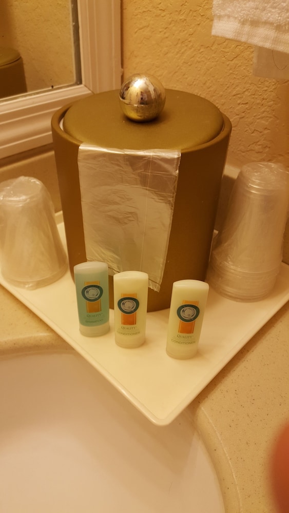 Tampa Vacations - Econo Lodge Busch Gardens - Property Image 25
