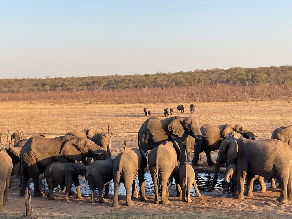 Chamabondo Tented Camp