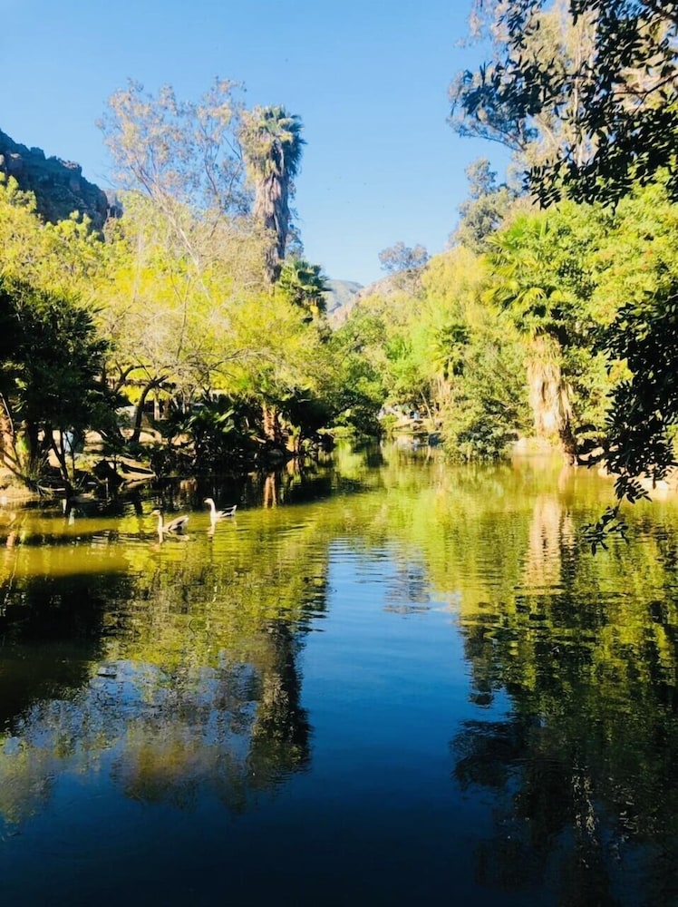 Ensenada Vacations - Rancho San Carlos Aguas Termales - Property Image 138
