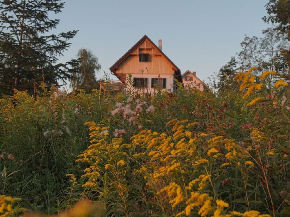 Kellerstockl am Hamerlberg/strem
