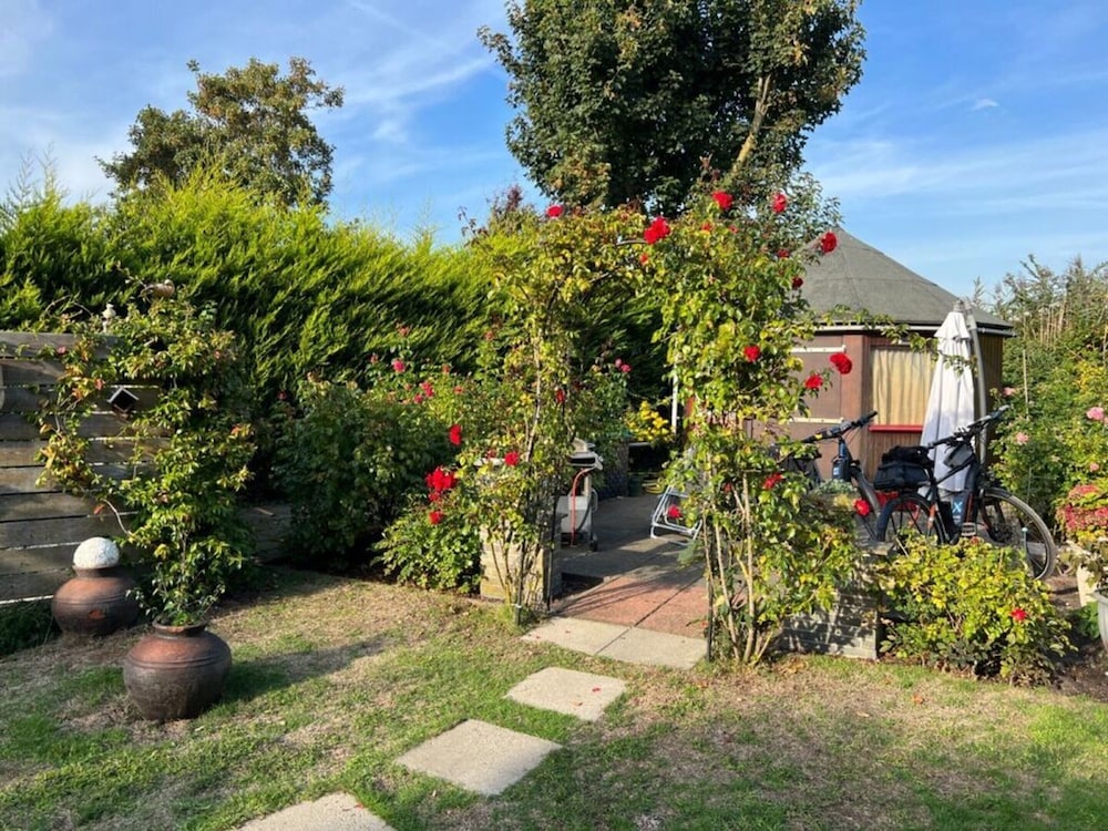 Photo 25