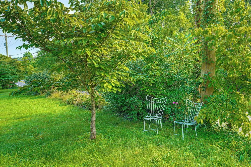 2 Mi to Hiking Trails: Cozy Fayetteville Cottage!