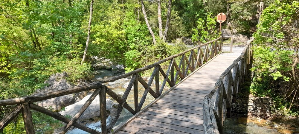 Photo 27
