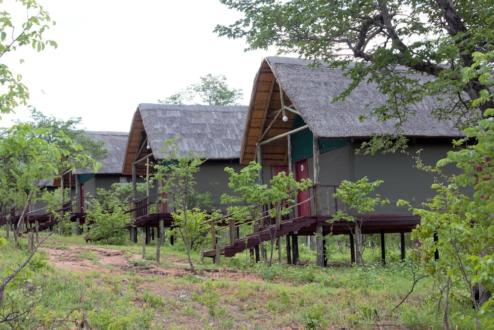 Lion Roars Lodge