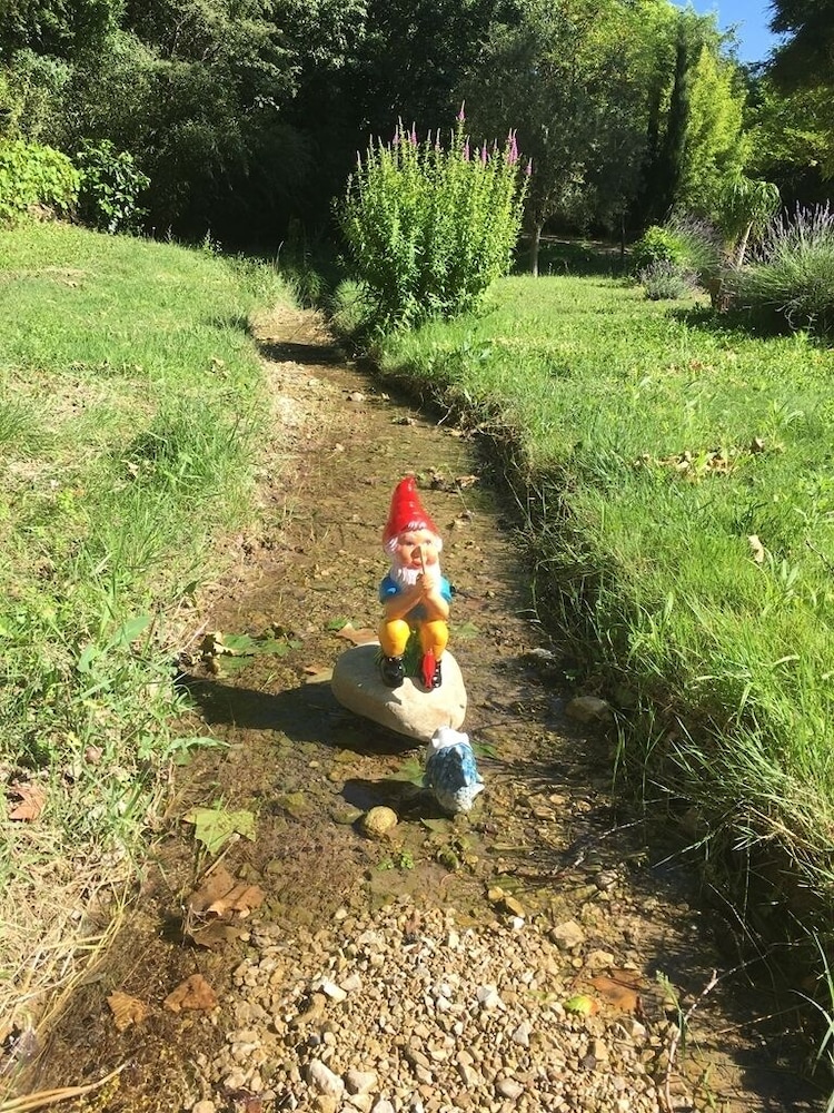Photo 7