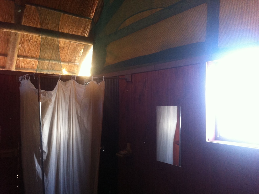 Lion Roars Lodge