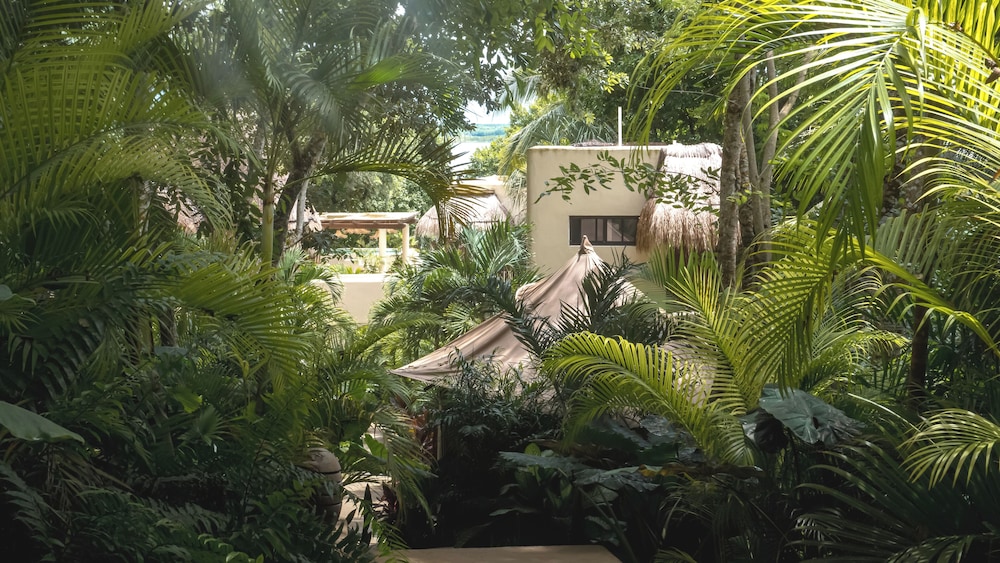Padma Ha Retreats