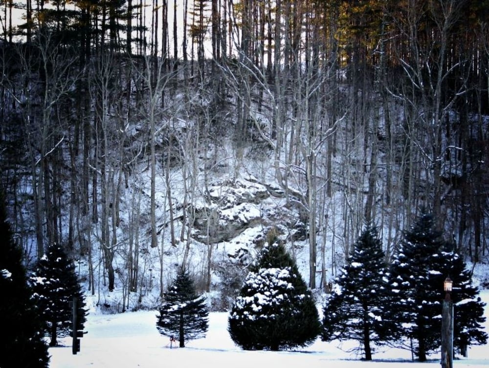 Linville River Log Cabins