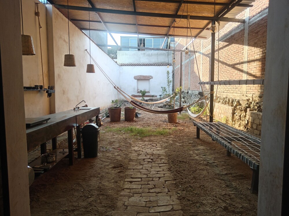 Iguana Co-living