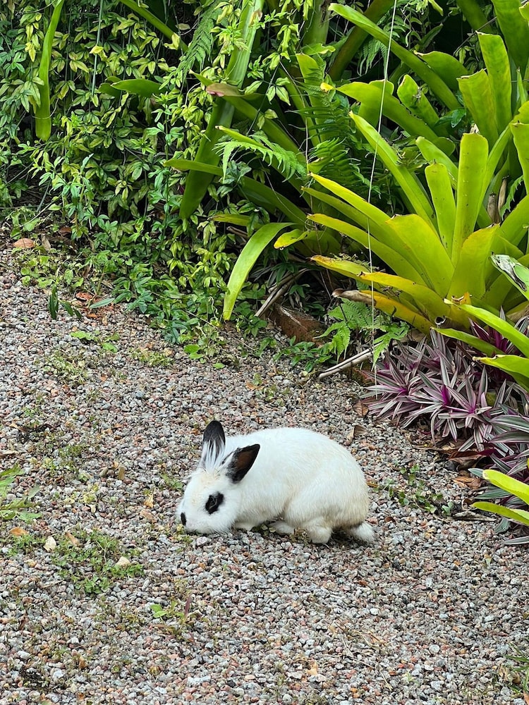 Photo 29