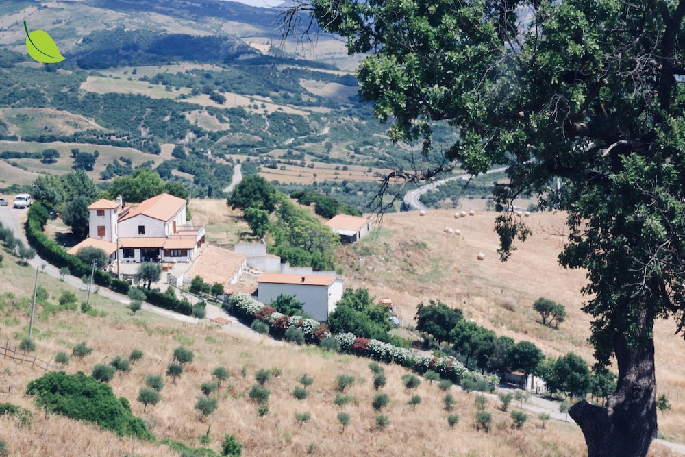 Tenuta Fortunato