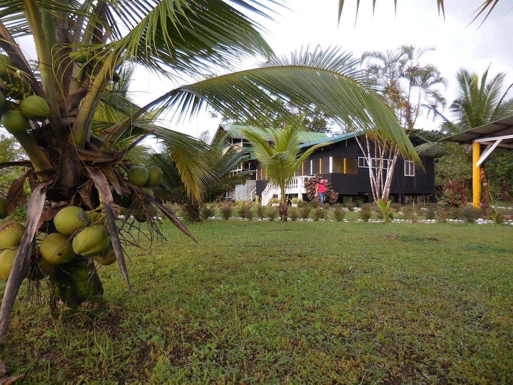 Photo 8