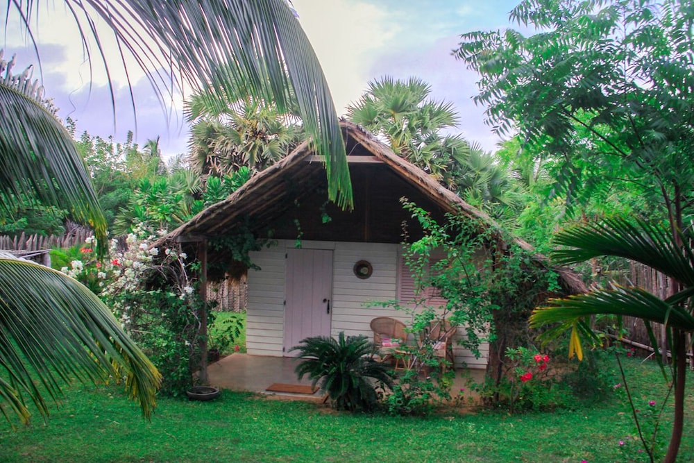Palagama Beach