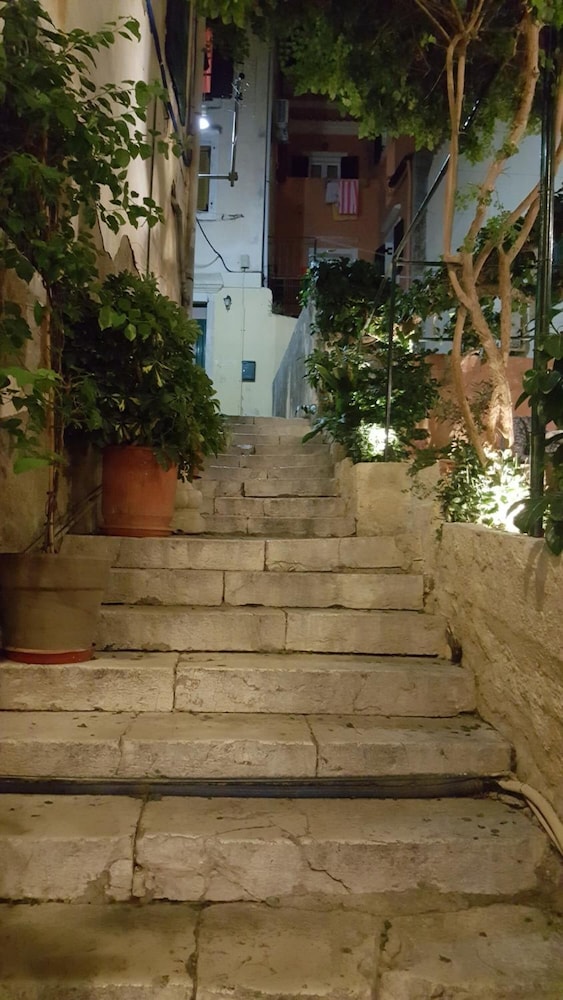 Photo 38