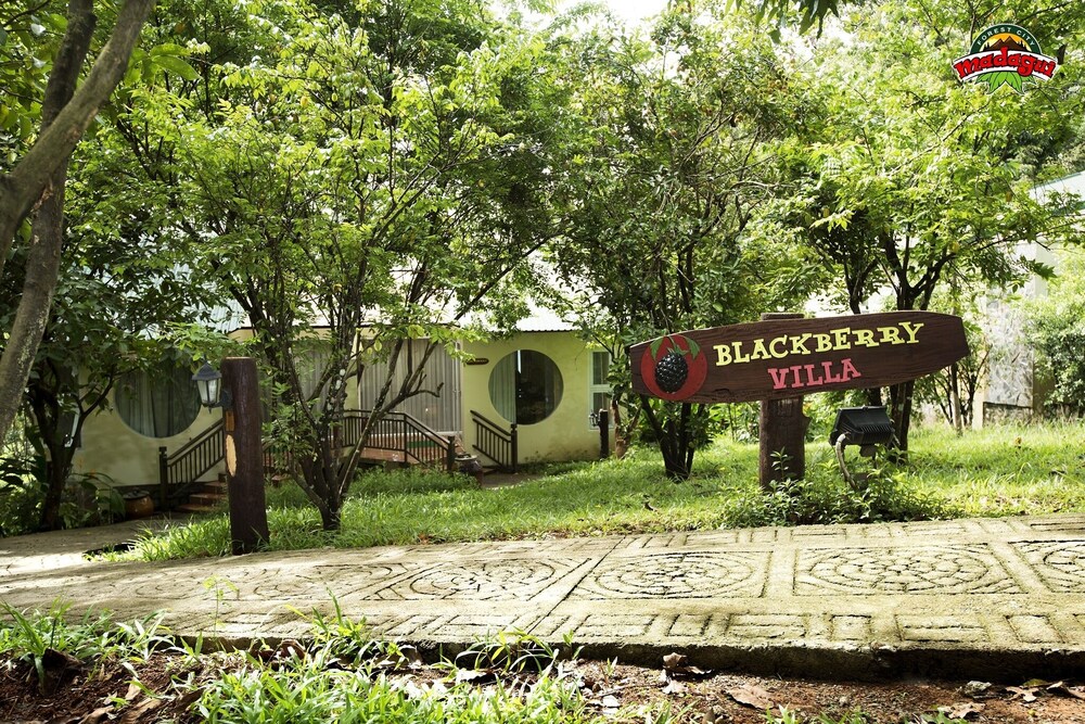 Madagui Forest City