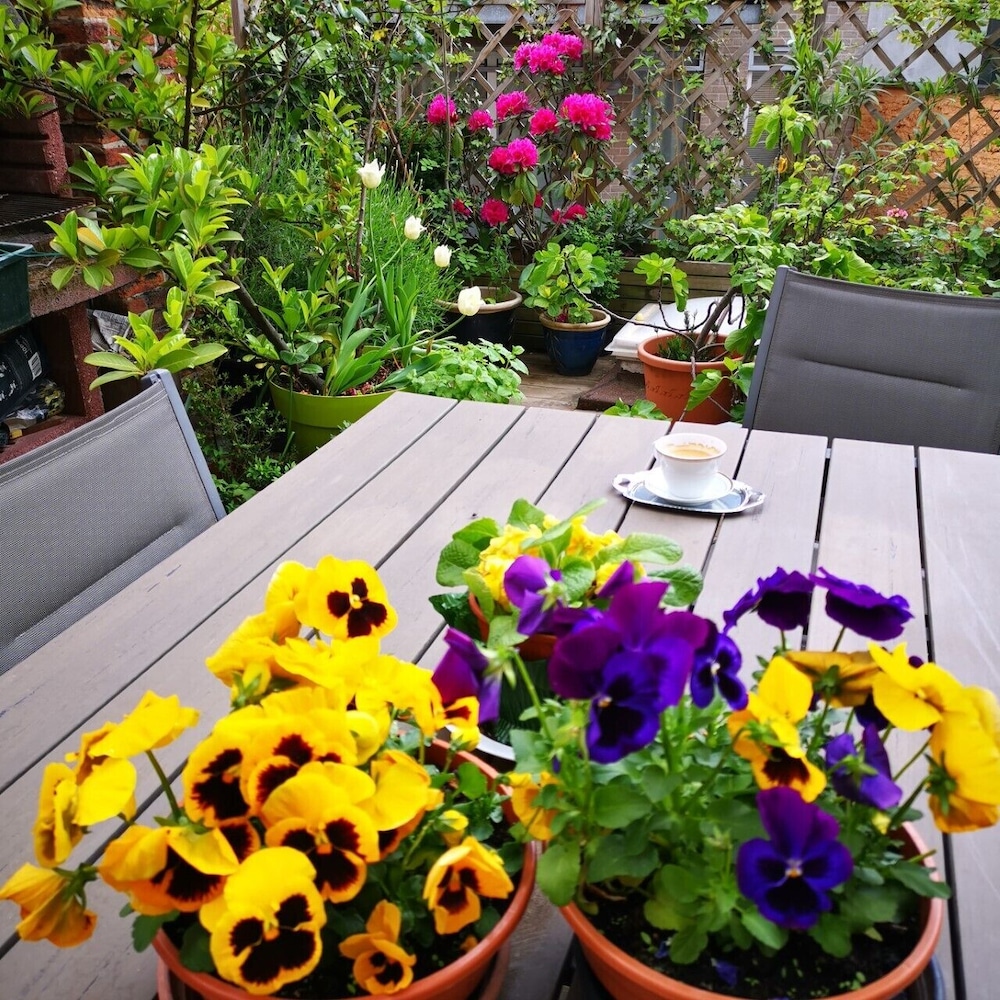 La Ducale 'B&B' view 3